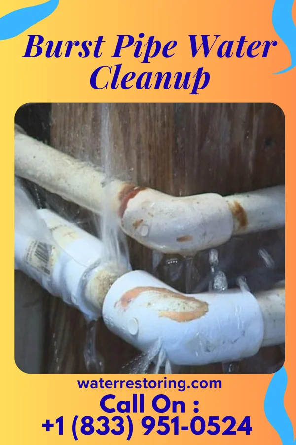 Burst Pipe Water Cleanup in Farmington, MI