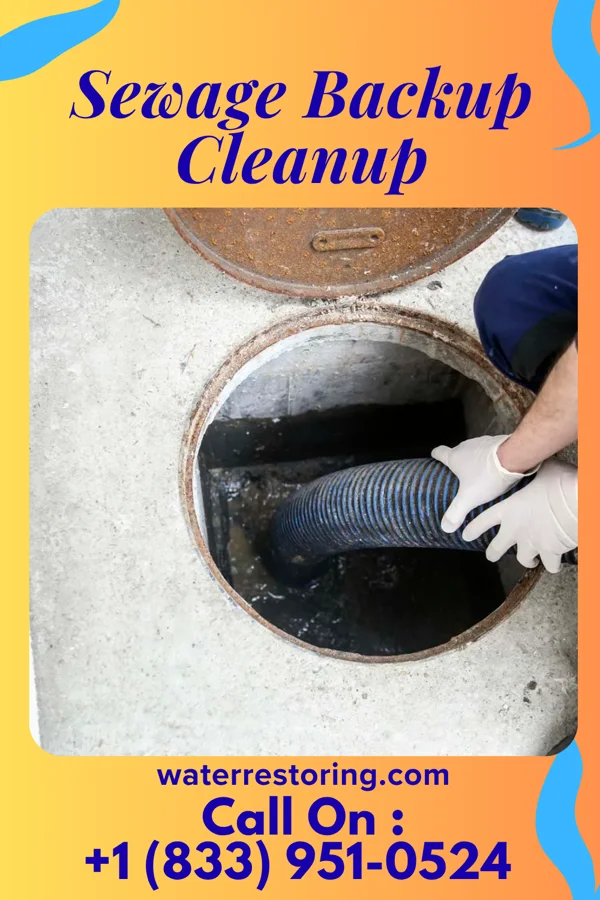 Sewage Backup Cleanup in Farmington, MI