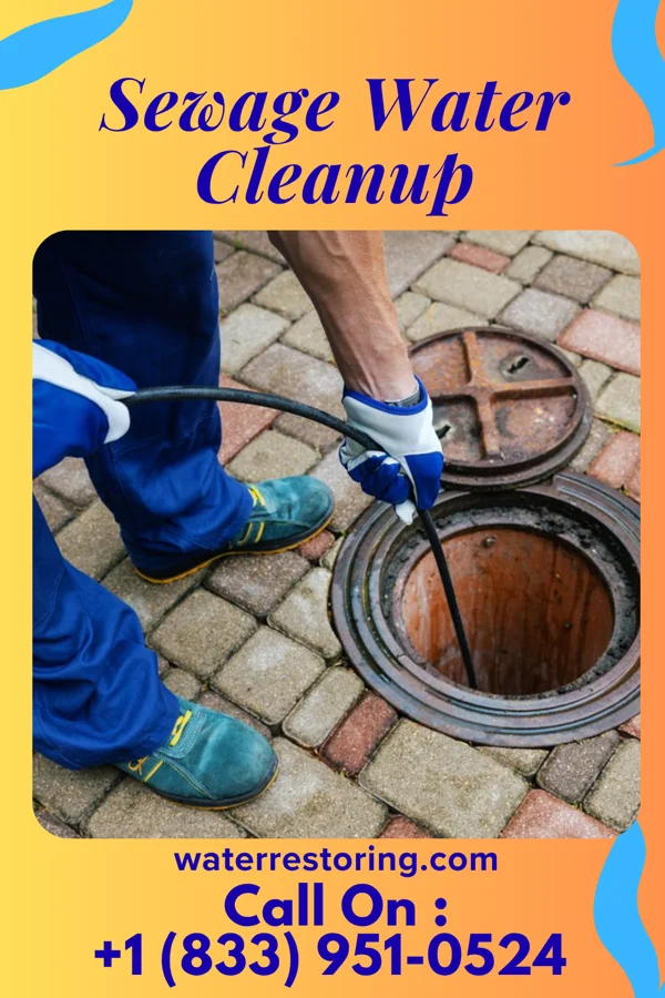 Sewage Water Cleanup in Farmington, MI